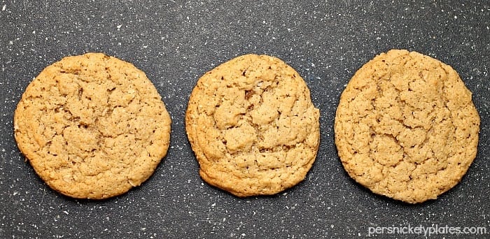 Old Fashioned Plain Oatmeal Cookies | Persnickety Plates