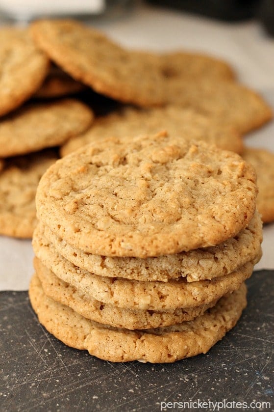 Old Fashioned Plain Oatmeal Cookies | Persnickety Plates