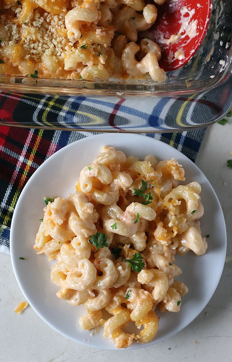 Homemade Baked Macaroni and Cheese is a delicious, super rich, five cheese baked mac and cheese recipe. This copycat steakhouse recipe is fancy enough to serve to guests for holidays, but so delicious, you'll want to make this easy baked mac and cheese recipe every day! www.persnicketyplates.com best baked mac n cheese plated on white plate