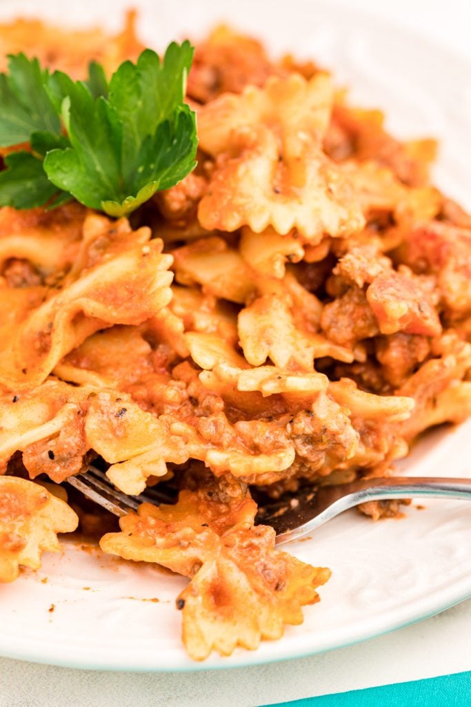 closeup shot of bow tie pasta on a white plate.