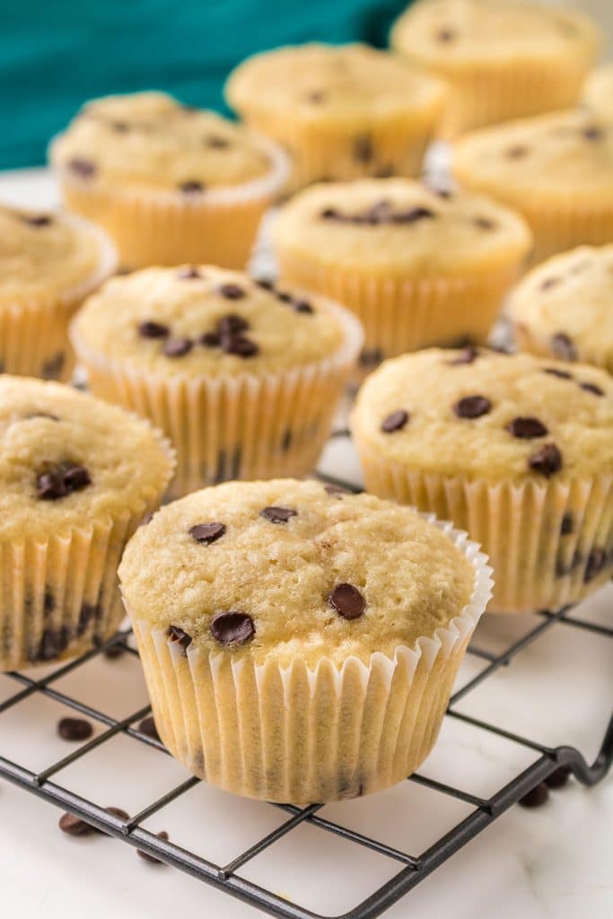 vegan chocolate chip muffins on a cooling rack.