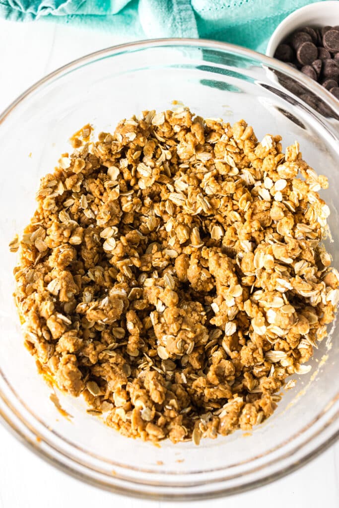 overhead shot of mixing bowl filled with oatmeal mixture.