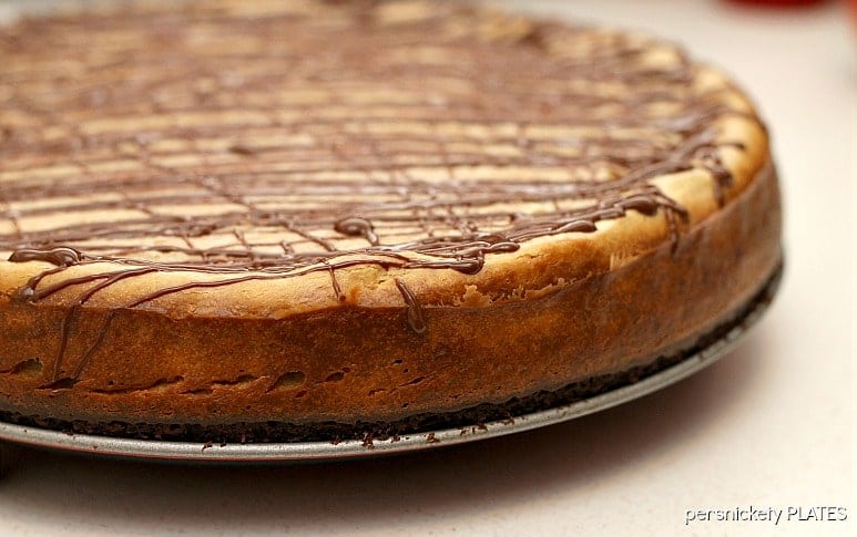 side view of brownie bottom peanut butter cheesecake Brownie Bottom Peanut Butter Cheesecake has a layer of chewy brownie topped with a creamy peanut butter cheesecake and drizzled with rich chocolate. | www.persnicketyplates.com #cheesecake #peanutbutter #brownie #dessert