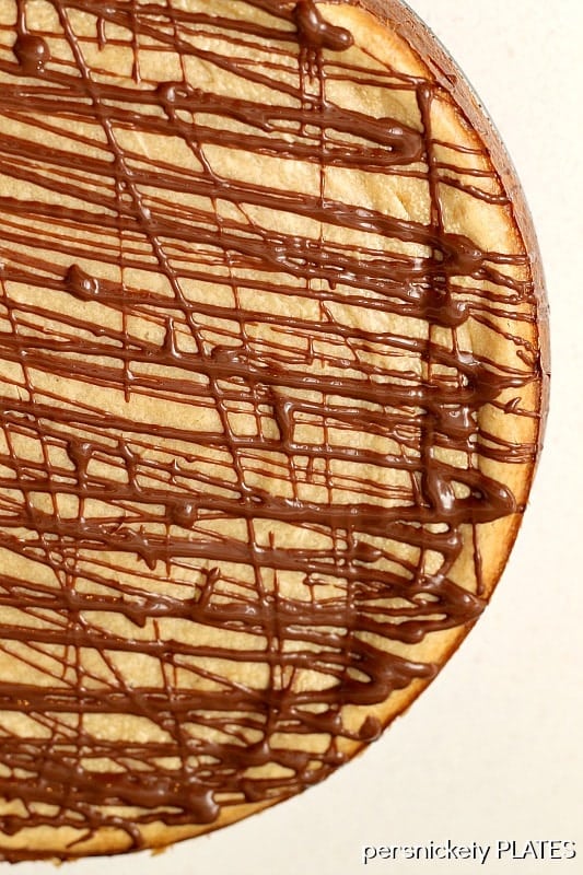 overhead shot of brownie bottom peanut butter cheesecake with chocolate drizzle Brownie Bottom Peanut Butter Cheesecake has a layer of chewy brownie topped with a creamy peanut butter cheesecake and drizzled with rich chocolate. | www.persnicketyplates.com #cheesecake #peanutbutter #brownie #dessert