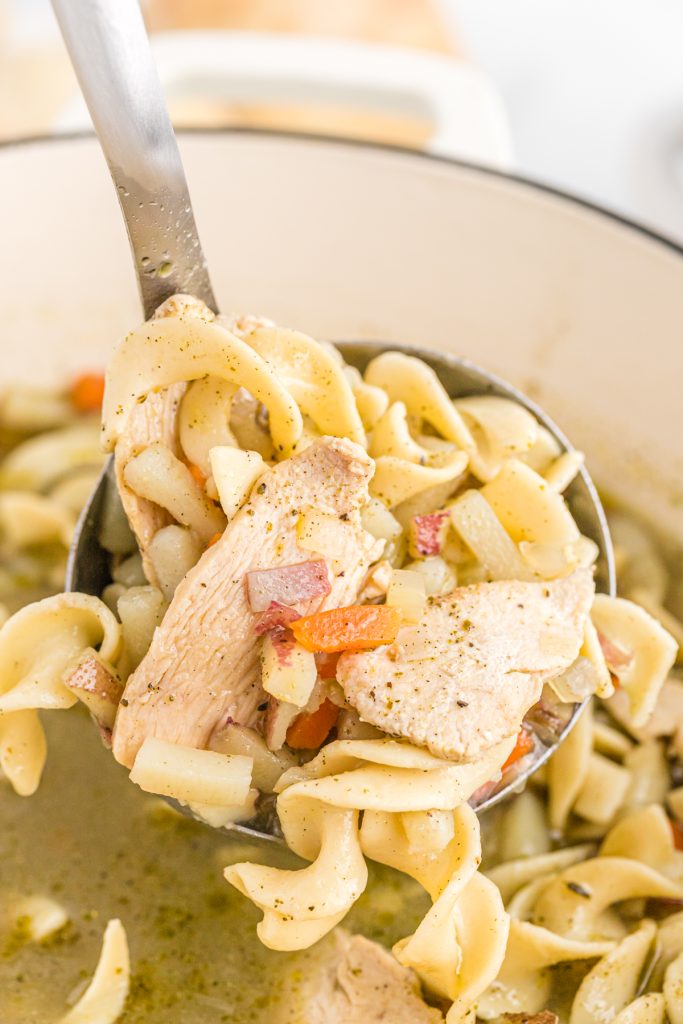 full ladle lifting from a pot of chicken noodle soup