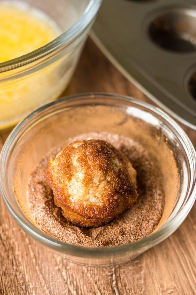 mini muffin in a bowl of cinnamon & sugar.