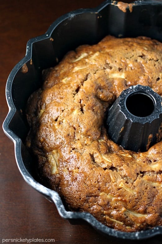 overhead shot of bundt cake in pan