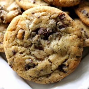 single chocolate chip cookie