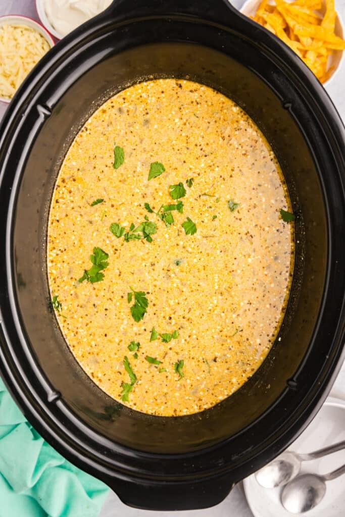 overhead shot of green enchilada soup in a crockpot.