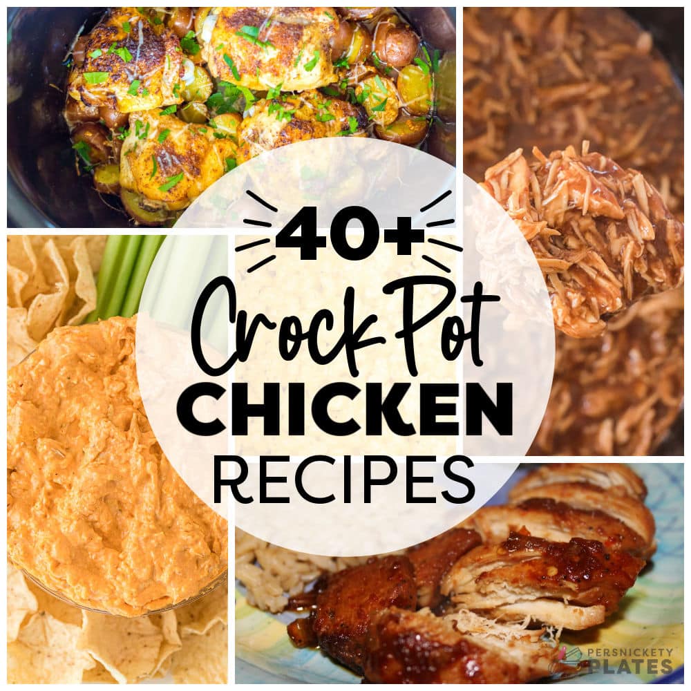 collage of chicken photos reading "40+ crockpot chicken recipes".