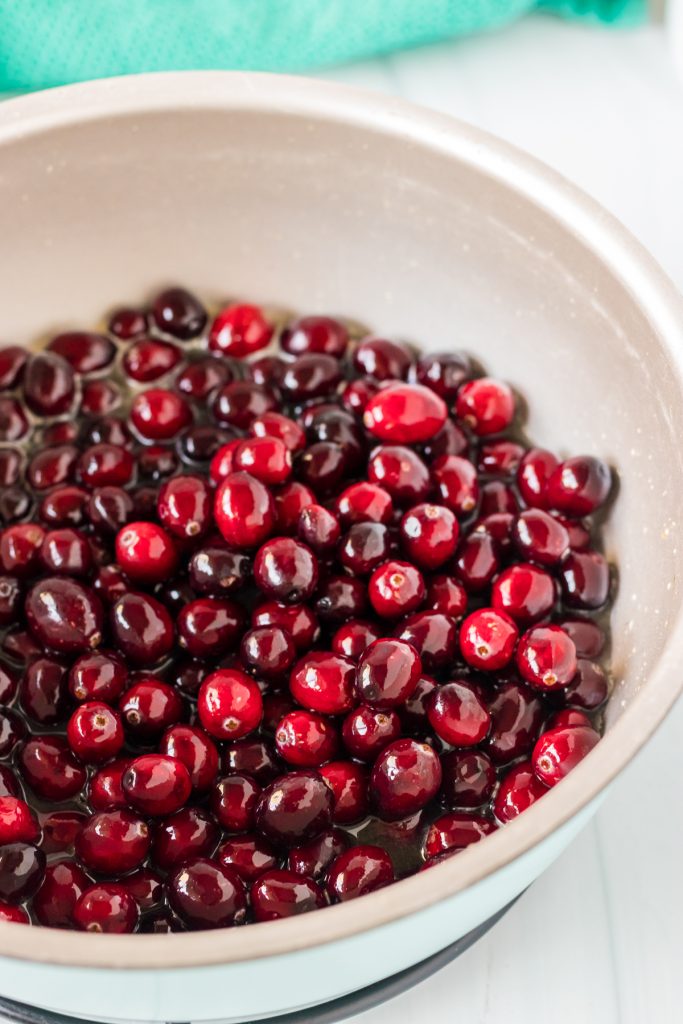 pot of fresh cranberries