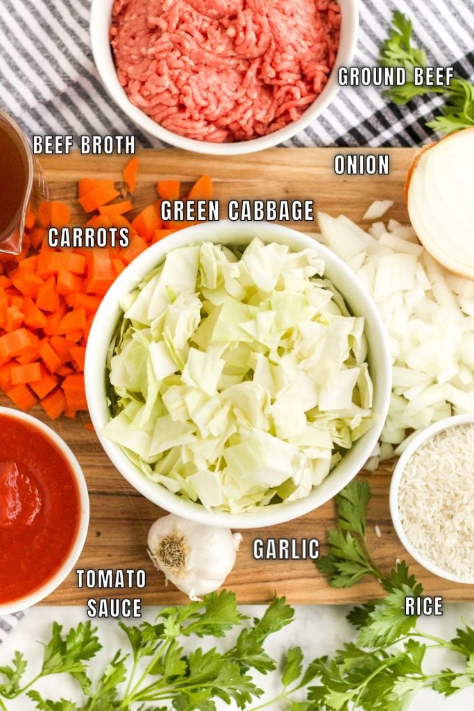 overhead shot of ingredients to make cabbage roll soup