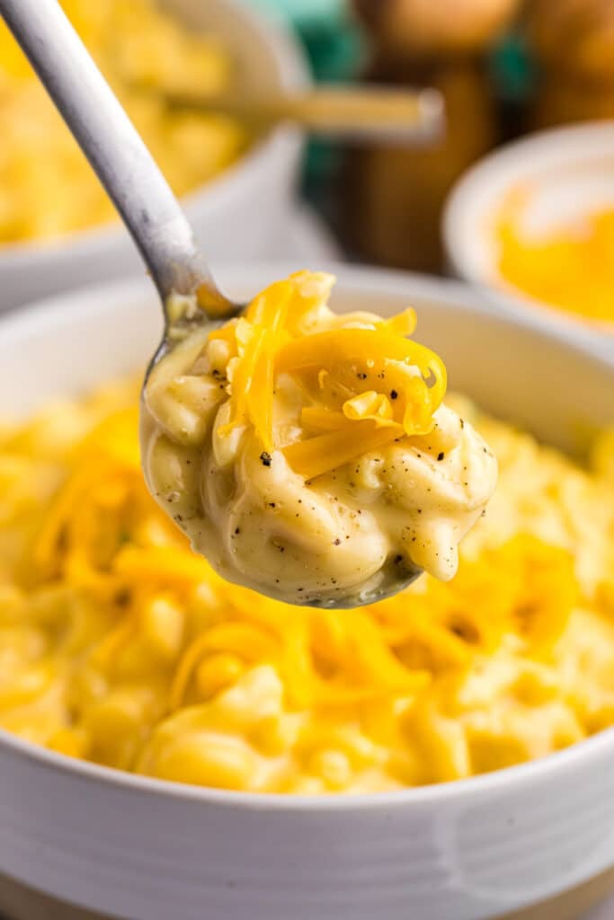 spoon lifting a bite of mac & cheese.