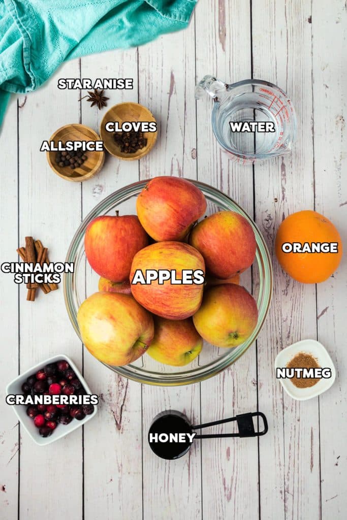 overhead shot of labeled ingredients laid out to make apple cider.