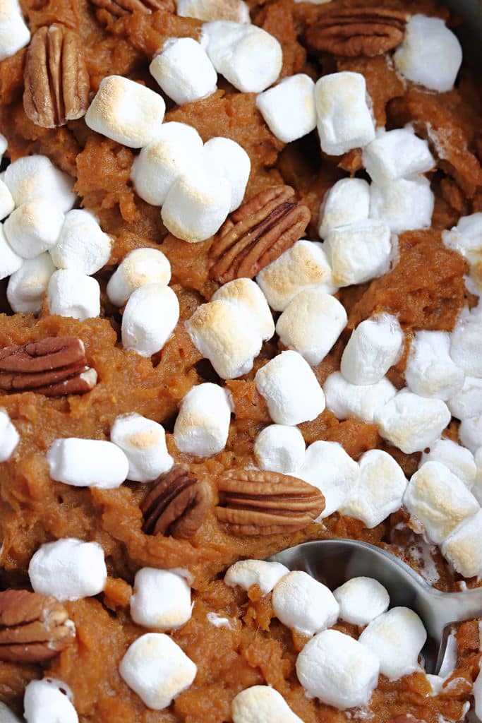 close up of marshmallow & pecan topped sweet potato casserole.