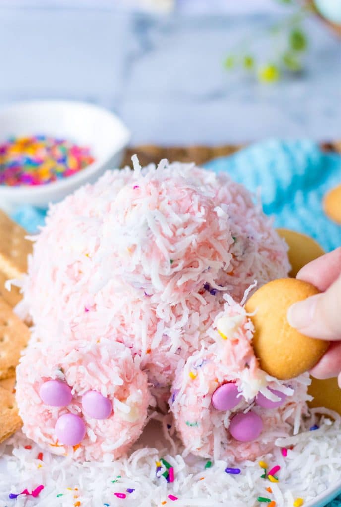 nilla wafer dipping into a bunny butt dessert cheeseball.