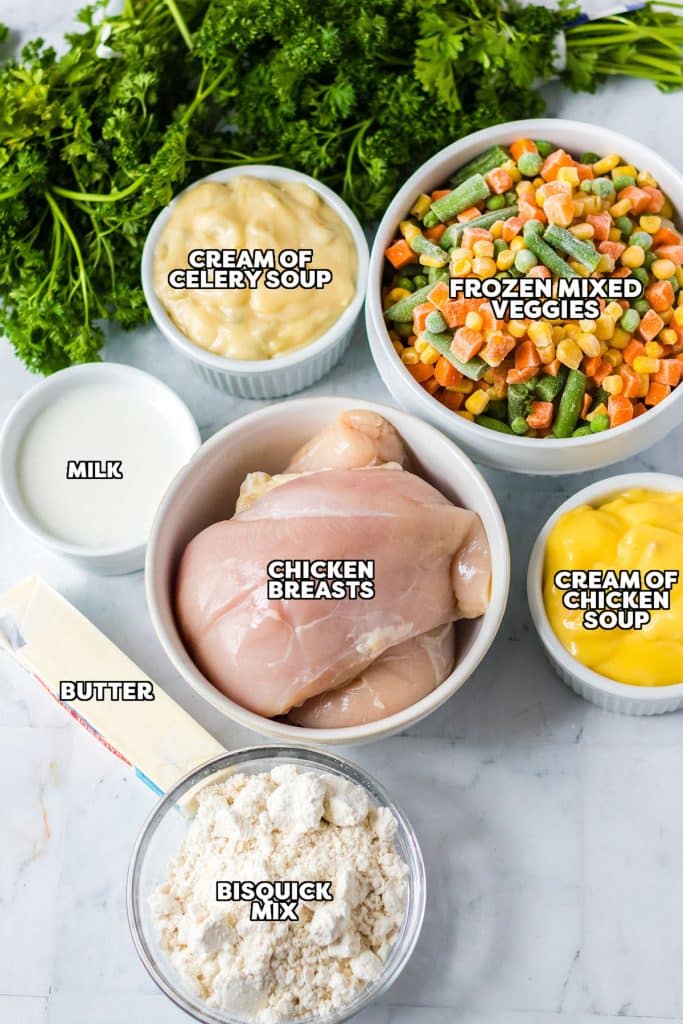 overhead shot of labeled ingredients to make chicken cobbler in the slow cooker.