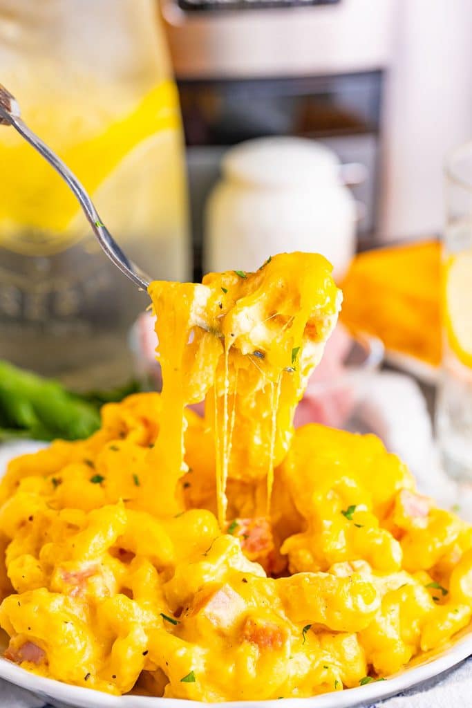 fork lifting a bite of mac and cheese from a plate.