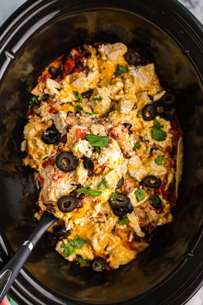 chicken enchilada casserole topped with black olives and cilantro.