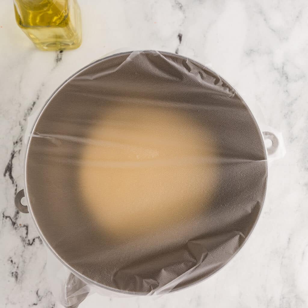 dough covered in plastic wrap rising.