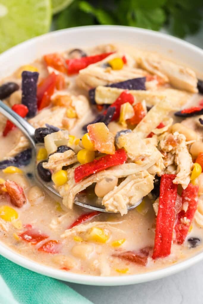 closeup of a bowl of creamy chicken tortilla soup.