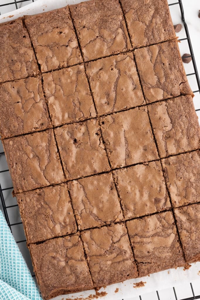 Pan of brownies cut into even squares on a cooling rack.
