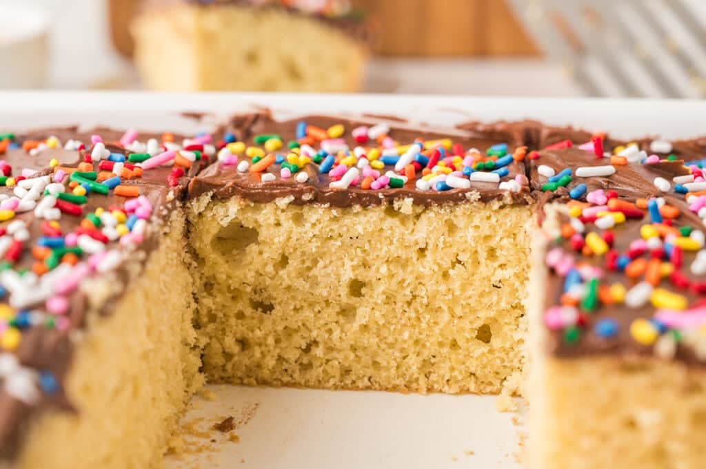 Close-up of yellow sheet cake with chocolate frosting and rainbow sprinkles, showing the moist crumb.